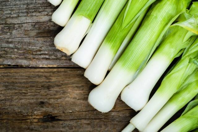 When to Harvest Leek