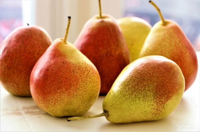 When to pick pears