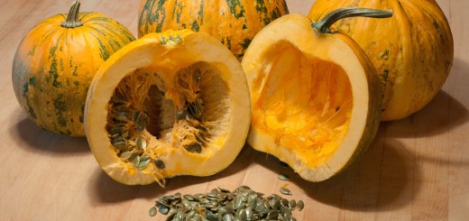 When to plant a pumpkin for seedlings: determine the auspicious time