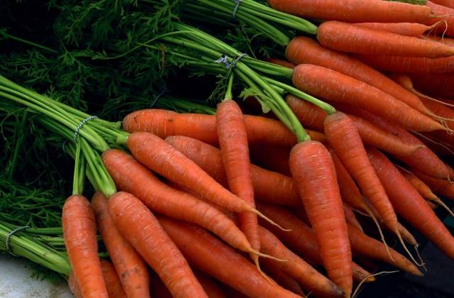 When to plant carrots in Siberia 