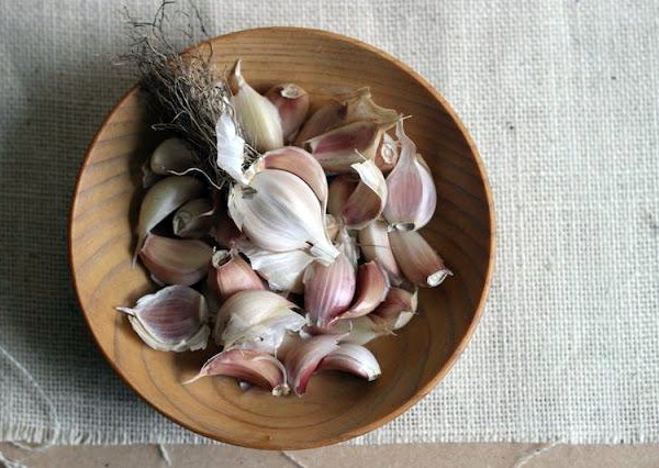 When to plant garlic for the winter in the Urals according to the lunar calendar