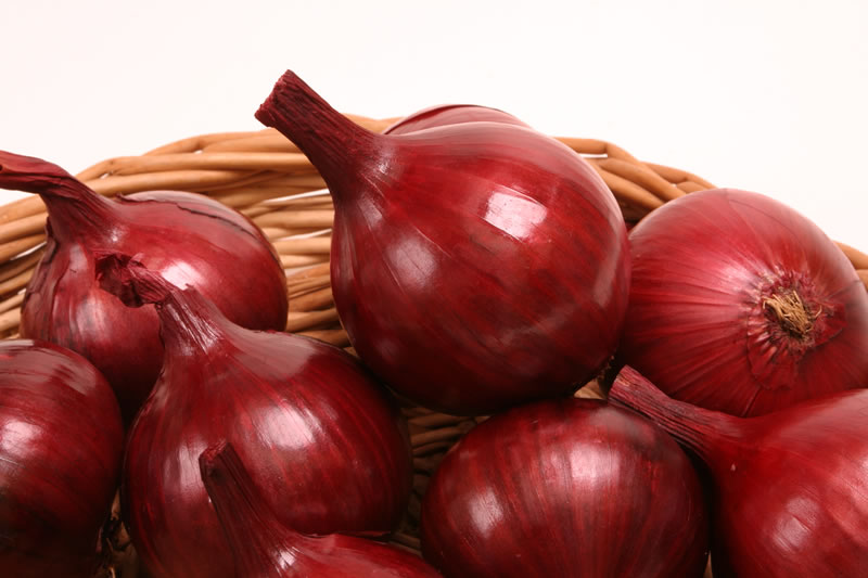 When to plant onions before winter: recommendations from gardeners