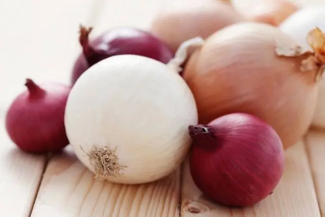 When to plant onions in spring in open ground