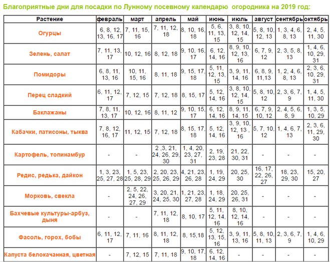 When to plant pepper seedlings in the Urals