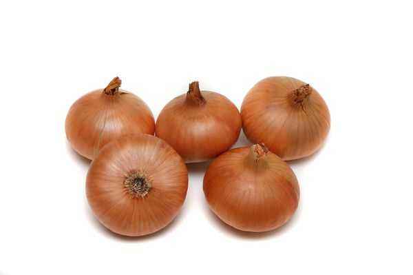 When to plant winter onions in Siberia