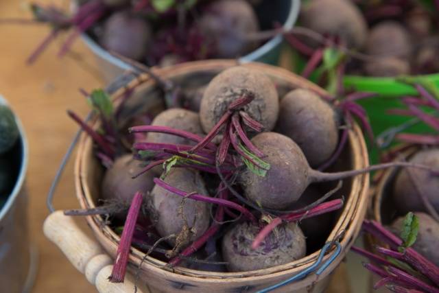 When to remove beets from the garden for storage