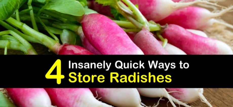 When to remove radish from the garden for storage