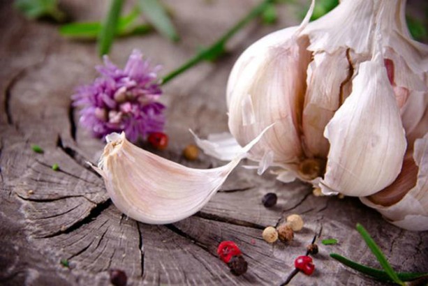 When to remove summer garlic from the garden and how to store until the next harvest