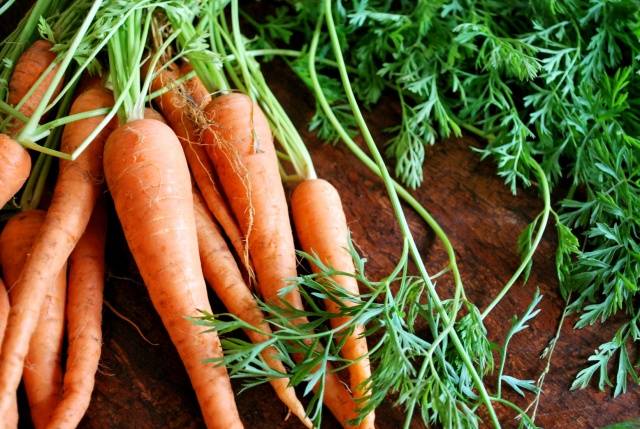 When to sow carrots in open ground in spring