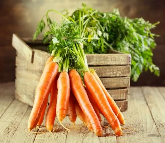 When to sow carrots in the Leningrad region 