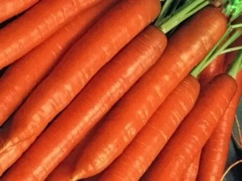 When to sow carrots in the suburbs