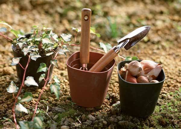 When to sow eggplant for seedlings in the suburbs