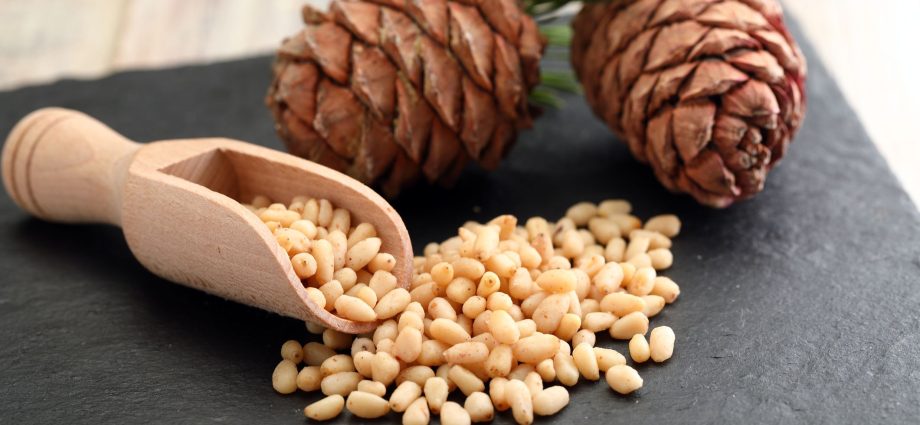 Where and on what tree do pine nuts grow?