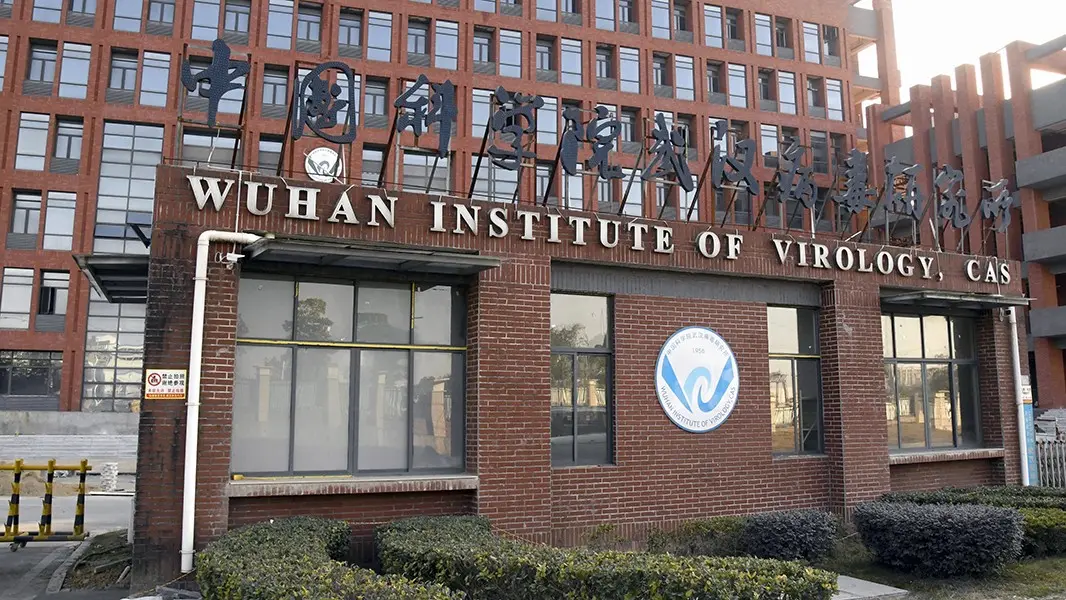 Where did the coronavirus in Wuhan come from? Leaks from the WHO report