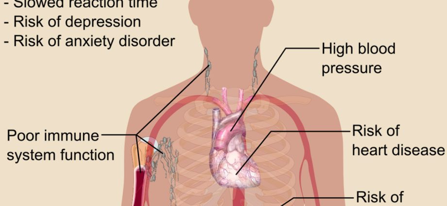 Where does insomnia come from? Find out why you can&#8217;t sleep