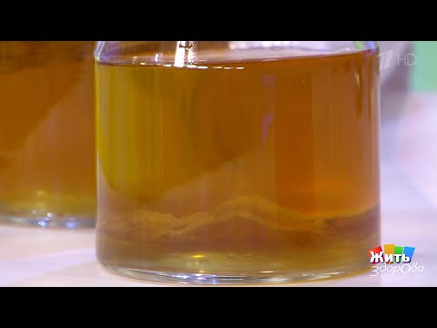 Where does kombucha come from: how did it appear, where does it grow in nature