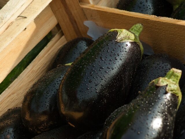 Where to store fresh eggplant in the apartment