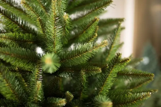 Which artificial Christmas tree to choose for the New Year: rules, tips, recommendations