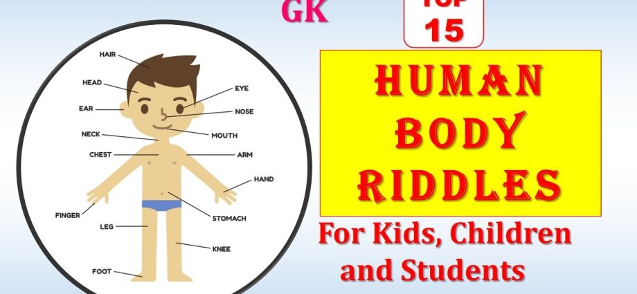 Which part of the human body is the hardest? Solve 15 tricky questions