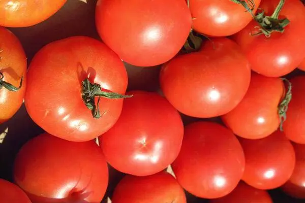 Which undersized tomatoes are the most productive