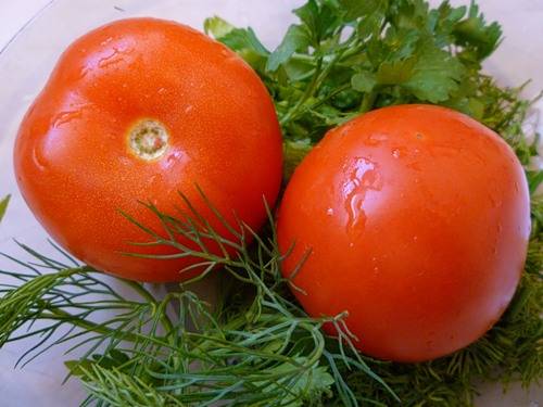 Which undersized tomatoes are the most productive