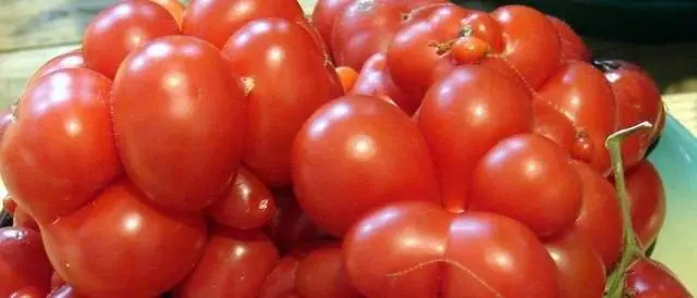 Which undersized tomatoes are the most productive