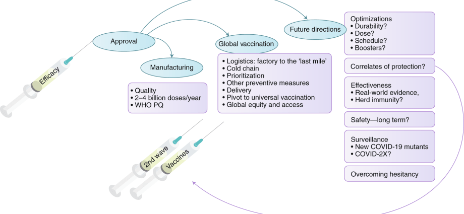 Which vaccine for a booster dose? The study sheds new light on the effectiveness of the preparations