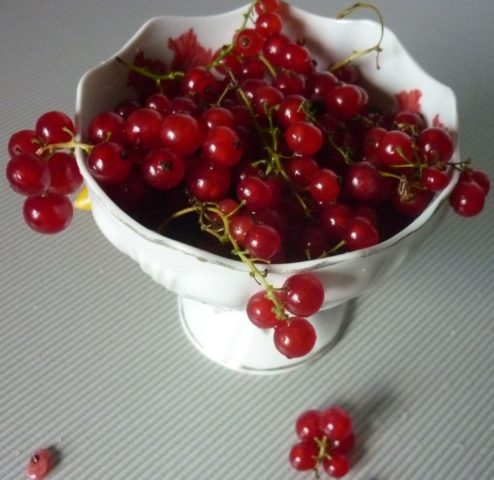 White and red currant juice recipes for the winter