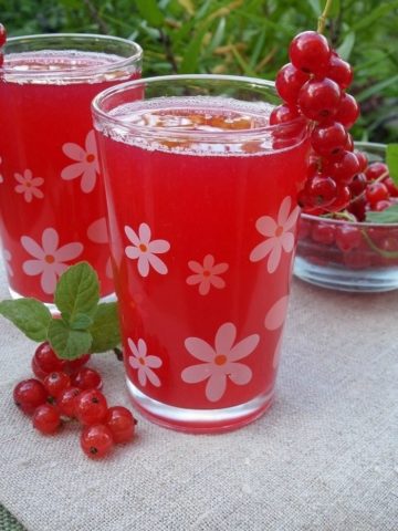 White and red currant juice recipes for the winter