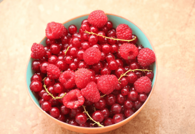 White and red currant juice recipes for the winter