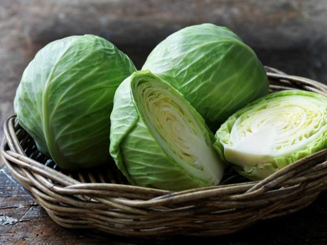 White cabbage: benefits and harms, medicinal properties