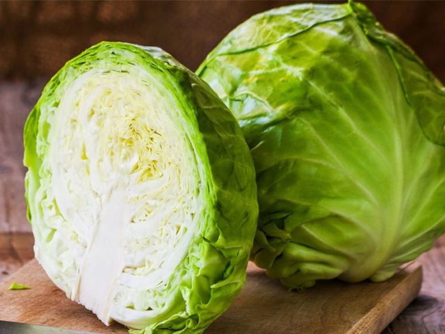 White cabbage: benefits and harms, medicinal properties