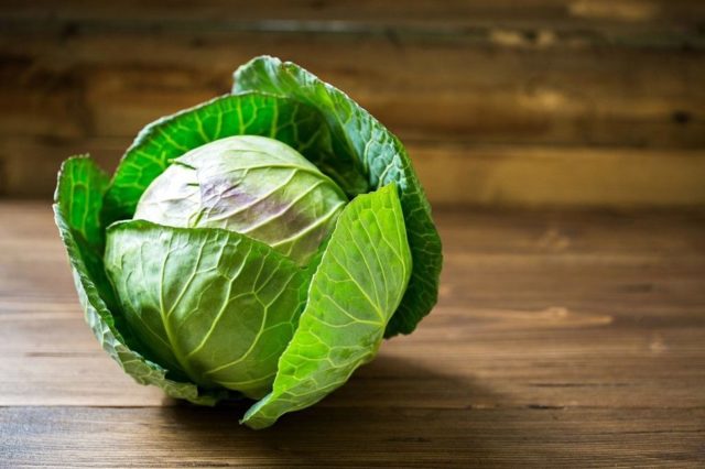 White cabbage: benefits and harms, medicinal properties