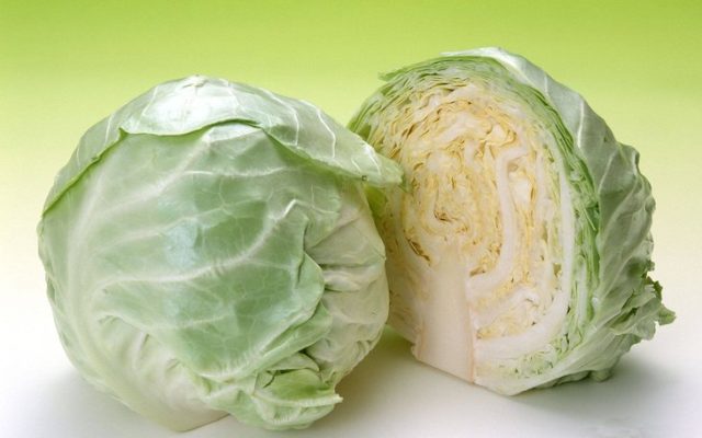 White cabbage: benefits and harms, medicinal properties