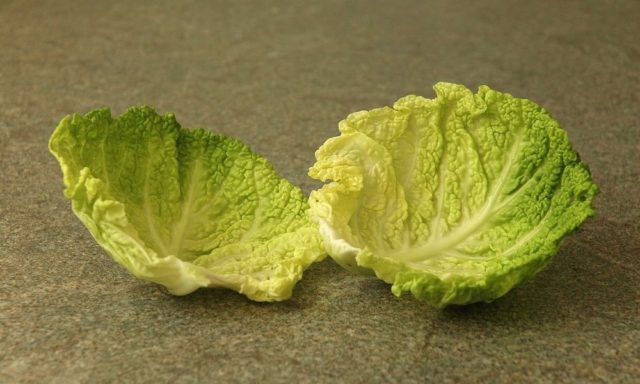 White cabbage: benefits and harms, medicinal properties