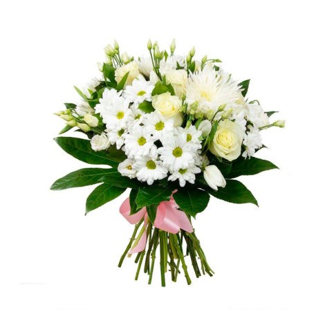 White chrysanthemums: photo and description of varieties