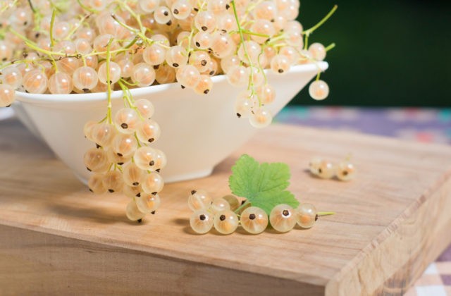 White currant jam: jelly-like, five minutes, with orange