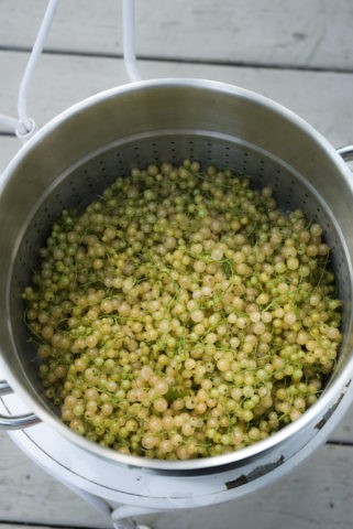 White Currant Wine: Step by Step Recipes