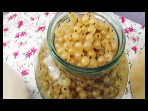 White Currant Wine: Step by Step Recipes