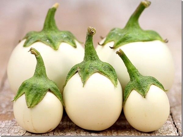 White eggplant: features of the variety and agricultural technology