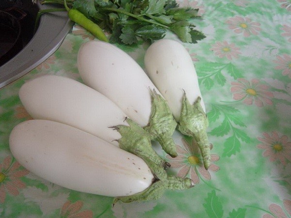 White eggplant: features of the variety and agricultural technology