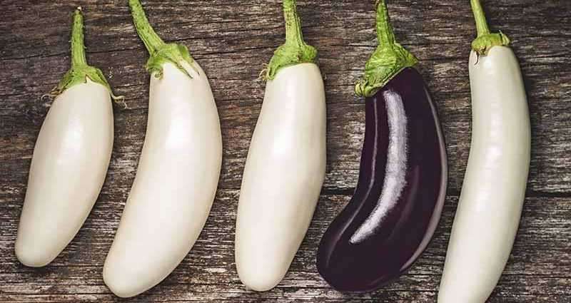 White eggplant: features of the variety and agricultural technology