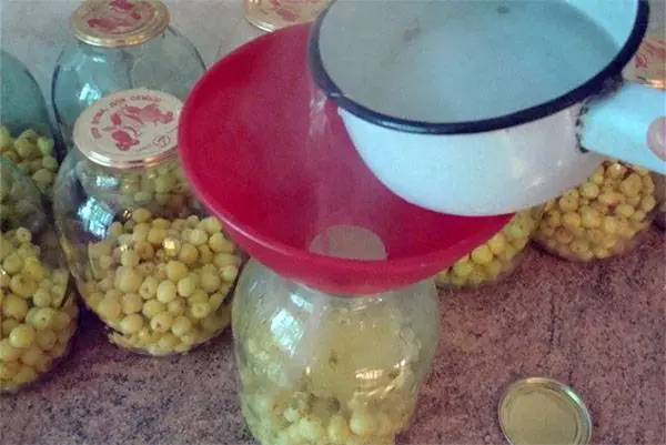 White grape compote recipes for the winter