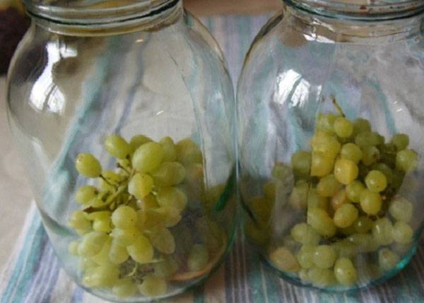 White grape compote recipes for the winter