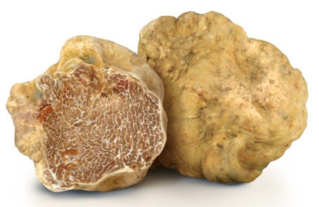 White March truffle: edibility, description and photo