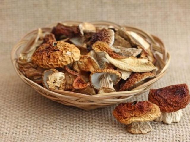 White mushroom: how to dry for the winter, how to store