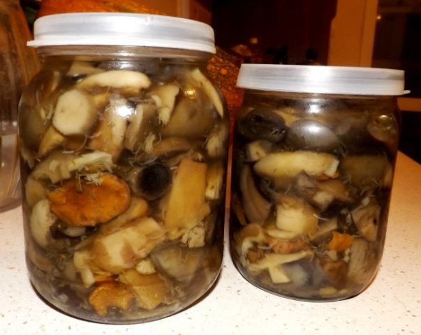 White mushrooms for the winter: simple recipes with photos