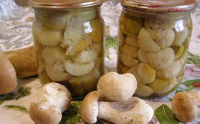 White mushrooms for the winter: simple recipes with photos