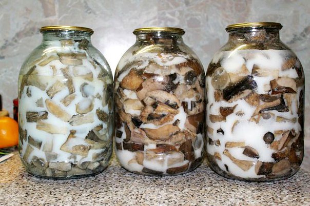 White mushrooms for the winter: simple recipes with photos