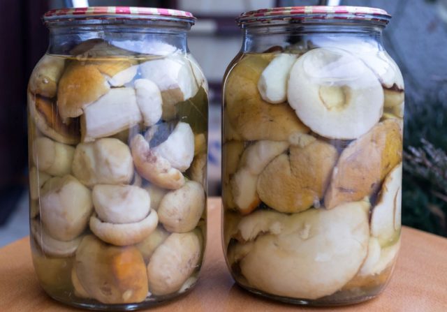 White mushrooms for the winter: simple recipes with photos